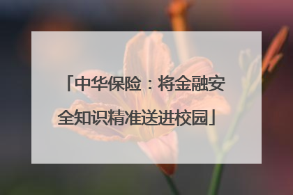 中华保险：将金融安全知识精准送进校园