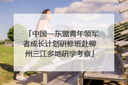 中国—东盟青年领军者成长计划研修班赴柳州三江多地研学考察