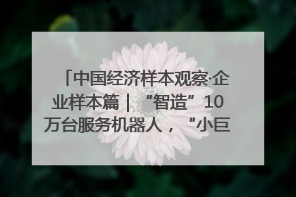 中国经济样本观察·企业样本篇｜“智造”10万台服务机器人，“小巨人”擎朗有大梦想