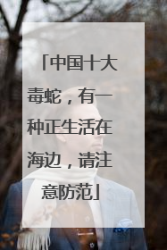 中国十大毒蛇，有一种正生活在海边，请注意防范