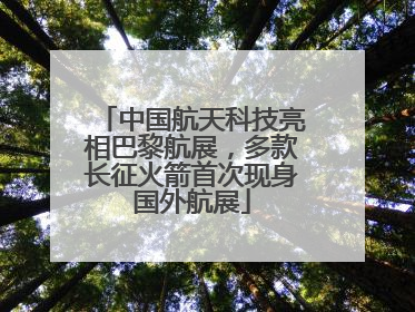 中国航天科技亮相巴黎航展，多款长征火箭首次现身国外航展