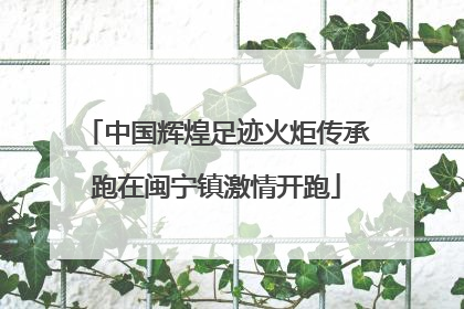 中国辉煌足迹火炬传承跑在闽宁镇激情开跑