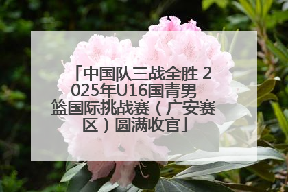 中国队三战全胜 2025年U16国青男篮国际挑战赛（广安赛区）圆满收官