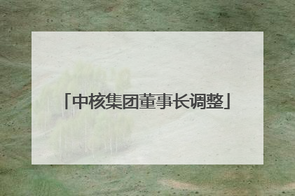 中核集团董事长调整