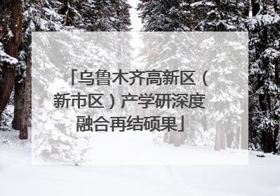 乌鲁木齐高新区（新市区）产学研深度融合再结硕果