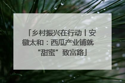 乡村振兴在行动丨安徽太和：西瓜产业铺就“甜蜜”致富路