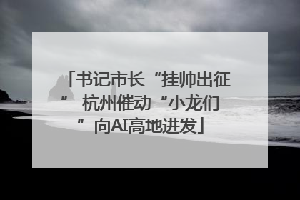 书记市长“挂帅出征” 杭州催动“小龙们”向AI高地进发
