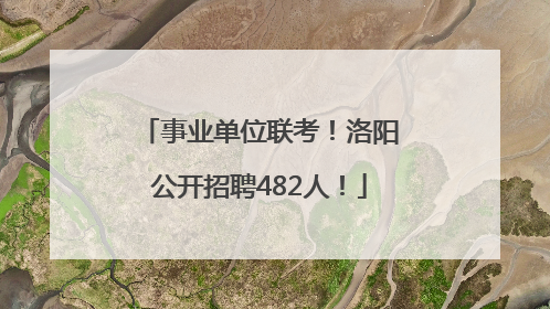 事业单位联考！洛阳公开招聘482人！