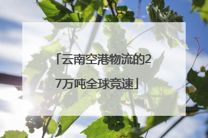 云南空港物流的27万吨全球竞速