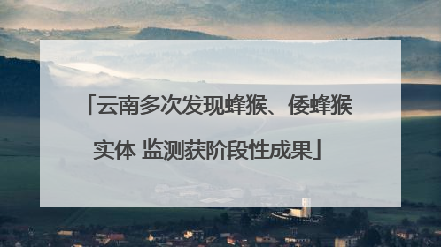 云南多次发现蜂猴、倭蜂猴实体 监测获阶段性成果
