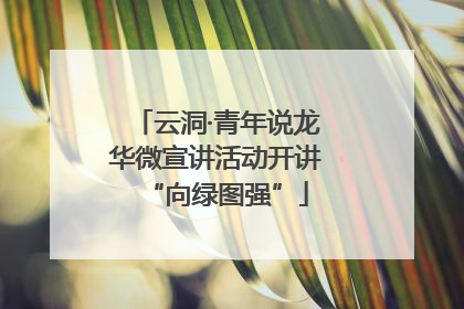 云洞·青年说龙华微宣讲活动开讲“向绿图强”