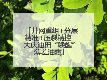 井网重组+分层精准+压裂精控 大庆油田“唤醒”薄差油藏