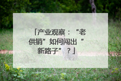 产业观察：“老供销”如何闯出“新路子”？