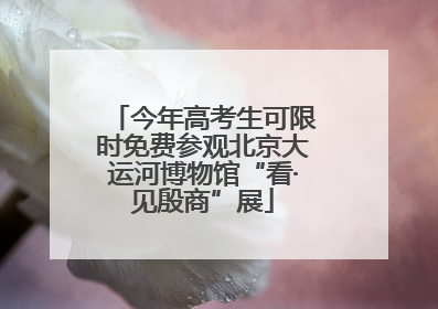 今年高考生可限时免费参观北京大运河博物馆“看·见殷商”展