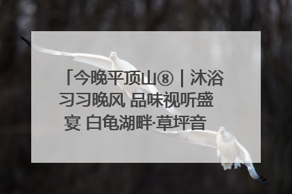 今晚平顶山⑧｜沐浴习习晚风 品味视听盛宴 白龟湖畔·草坪音乐会激情上演
