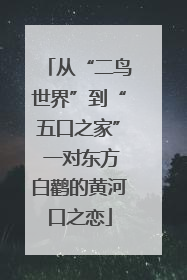 从“二鸟世界”到“五口之家” 一对东方白鹳的黄河口之恋