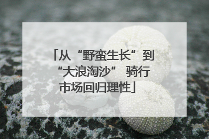 从“野蛮生长”到“大浪淘沙” 骑行市场回归理性