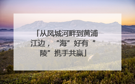 从凤城河畔到黄浦江边，“海”好有“陵”携手共赢