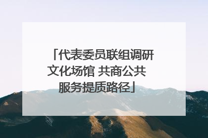 代表委员联组调研文化场馆 共商公共服务提质路径