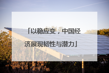 以稳应变，中国经济展现韧性与潜力