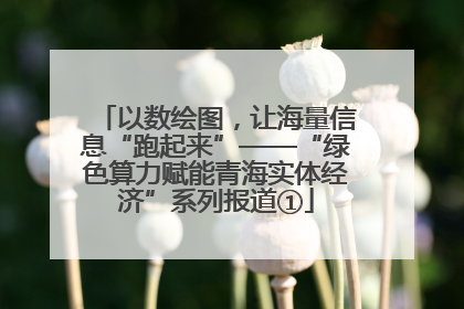 以数绘图，让海量信息“跑起来”——“绿色算力赋能青海实体经济”系列报道①