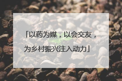 以药为媒，以会交友，为乡村振兴注入动力