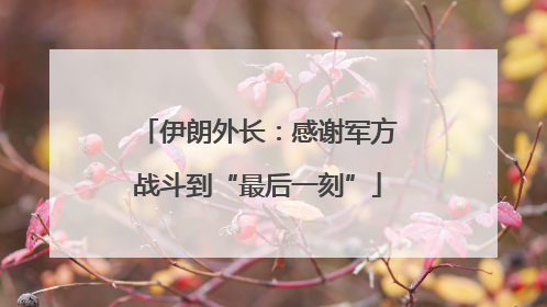 伊朗外长：感谢军方战斗到“最后一刻”