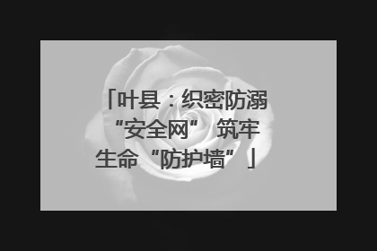 叶县：织密防溺“安全网” 筑牢生命“防护墙”
