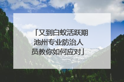 又到白蚁活跃期 池州专业防治人员教你如何应对