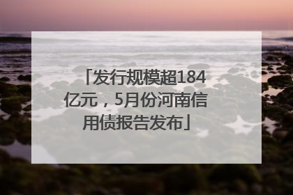 发行规模超184亿元，5月份河南信用债报告发布
