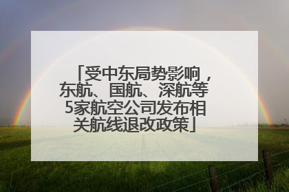 受中东局势影响，东航、国航、深航等5家航空公司发布相关航线退改政策