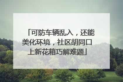 可防车辆乱入，还能美化环境，社区胡同口上新花箱巧解难题