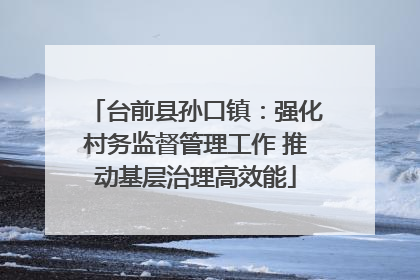 台前县孙口镇：强化村务监督管理工作 推动基层治理高效能