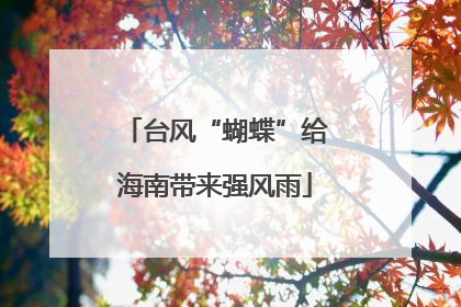 台风“蝴蝶”给海南带来强风雨