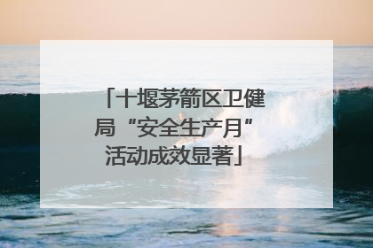 十堰茅箭区卫健局“安全生产月”活动成效显著