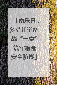 南乐县：多措并举备战“三夏” 筑牢粮食安全防线