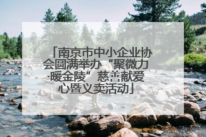 南京市中小企业协会圆满举办“聚微力·暖金陵”慈善献爱心暨义卖活动