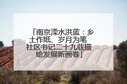 南京溧水洪蓝：乡土作纸、岁月为笔 社区书记二十九载描绘发展新画卷