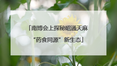 南博会上探秘昭通天麻“药食同源”新生态
