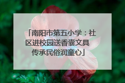 南阳市第五小学：社区进校园送香囊文具 传承民俗润童心