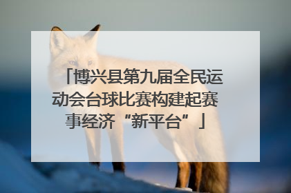 博兴县第九届全民运动会台球比赛构建起赛事经济“新平台”