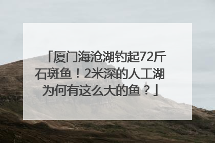 厦门海沧湖钓起72斤石斑鱼！2米深的人工湖为何有这么大的鱼？