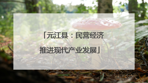 元江县：民营经济推进现代产业发展