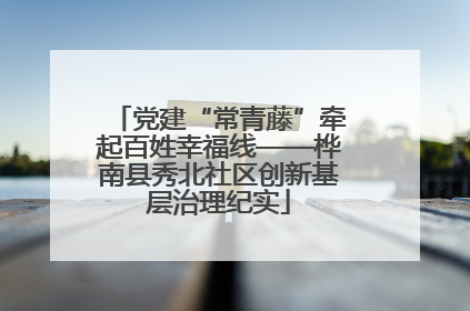 党建“常青藤”牵起百姓幸福线——桦南县秀北社区创新基层治理纪实