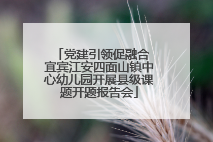 党建引领促融合 宜宾江安四面山镇中心幼儿园开展县级课题开题报告会