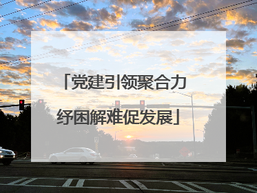 党建引领聚合力 纾困解难促发展