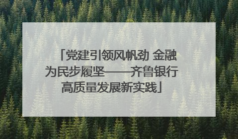 党建引领风帆劲 金融为民步履坚——齐鲁银行高质量发展新实践