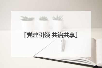 党建引领 共治共享