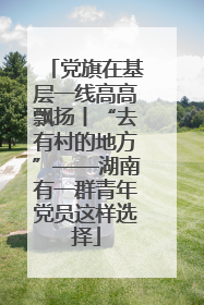 党旗在基层一线高高飘扬丨“去有村的地方”——湖南有一群青年党员这样选择
