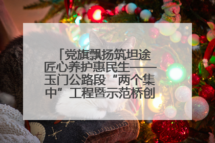 党旗飘扬筑坦途 匠心养护惠民生——玉门公路段“两个集中”工程暨示范桥创建项目圆满收官